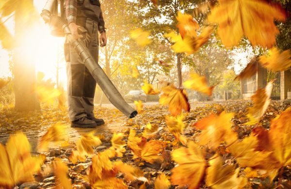Leaf Blowing Service in Lewes