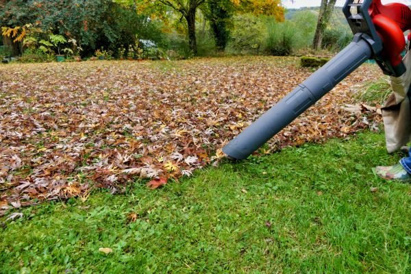Leaf Vacuuming Service in Lewes