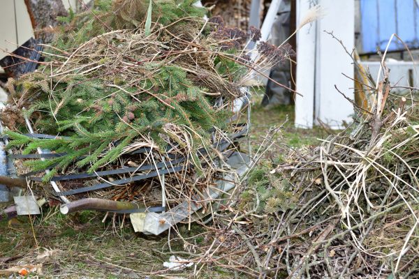 Yard Debris Removal in Lewes