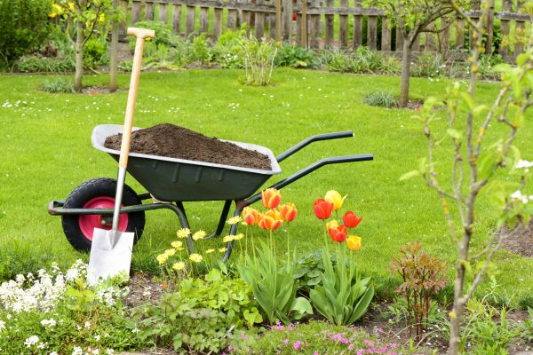 Spring Yard Cleanup in Lewes