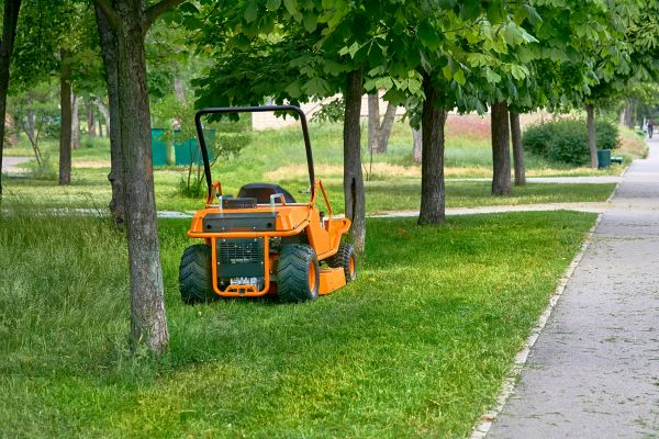 Landscaping Cleanup Service in Lewes