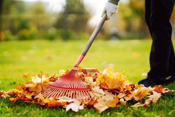 Ditch Leaf Removal in Lewes