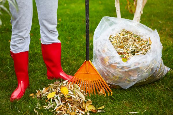 Leaf Disposal Service in Lewes