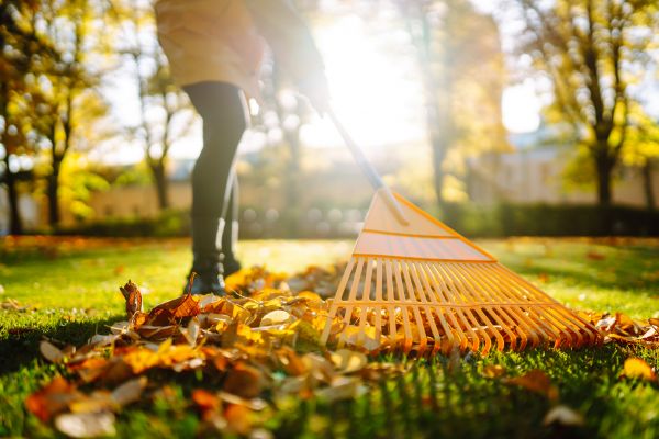 Leaves Raking in Lewes