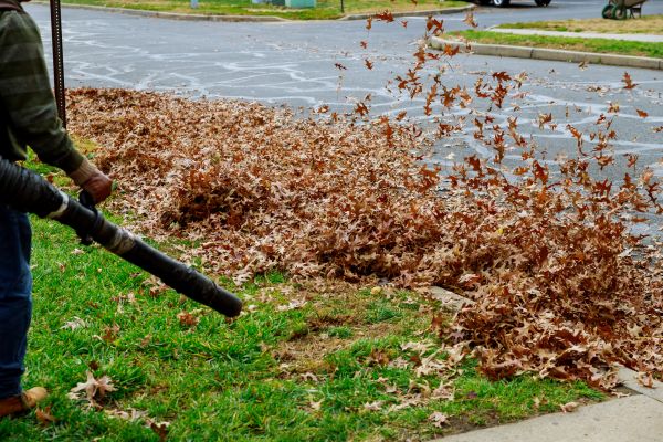 Garden Leaf Removal in Lewes