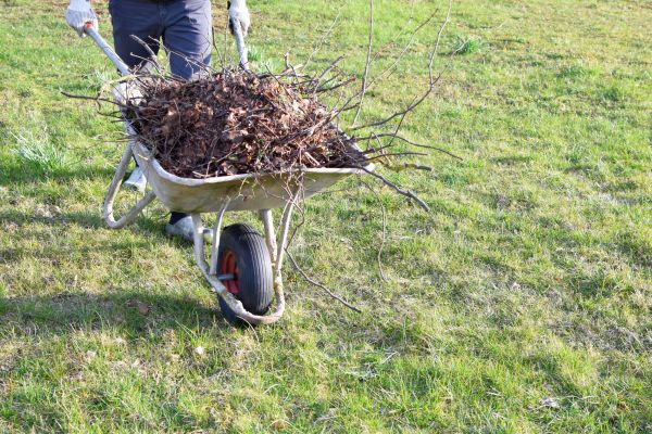Yard Brush Removal in Lewes