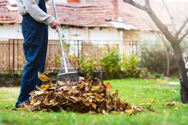 Spring Lawn Cleanup in Lewes