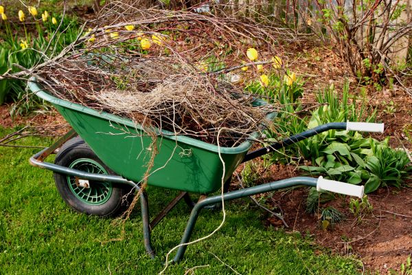 Lawn Waste Removal in Lewes