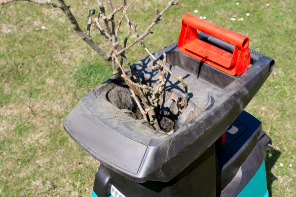 Cost of Brush Cleanup Service in Lewes