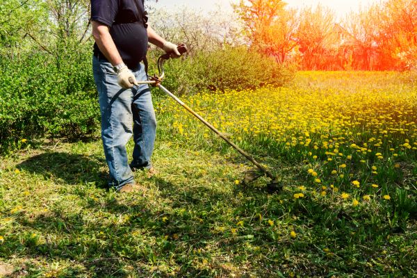 Cost of Yard Clearing Service in Lewes