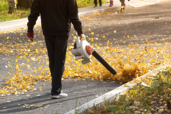 Commercial Leaf Removal in Lewes