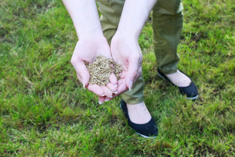 Lawn Preparation for Winter