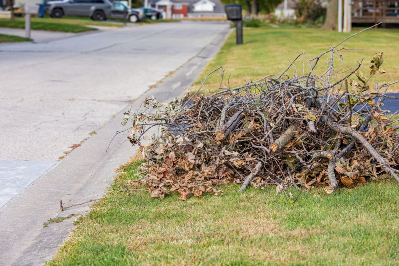 Fall Lawn Cleanup Service