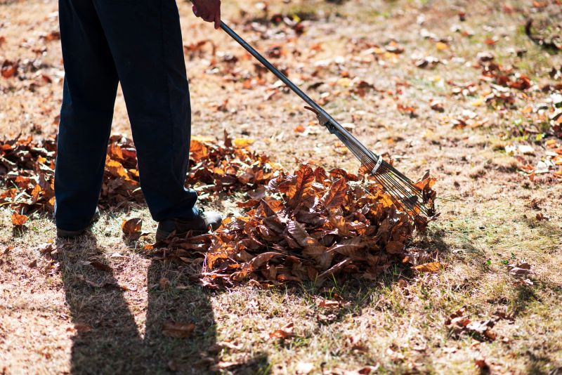 Leaf Raking Techniques